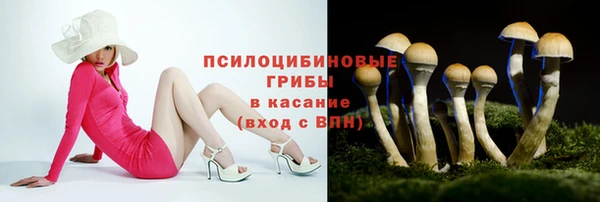 меф Алексин