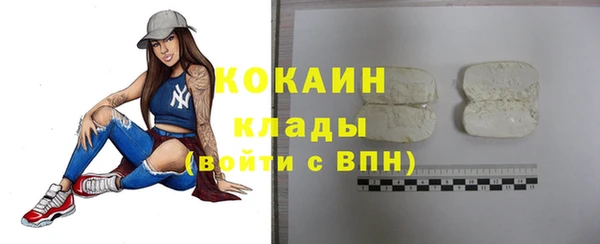 дживик Алзамай