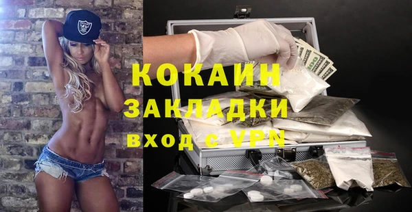 дживик Алзамай