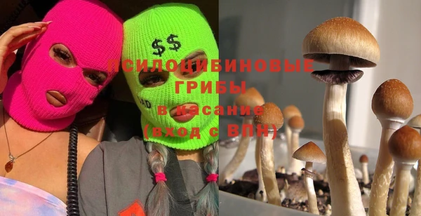 дживик Алзамай