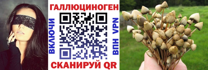 Псилоцибиновые грибы Psilocybe  Пласт 
